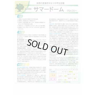 画像3: 送料無料　[ブロッコリー]　サマードーム　2000粒　(株)サカタのタネ