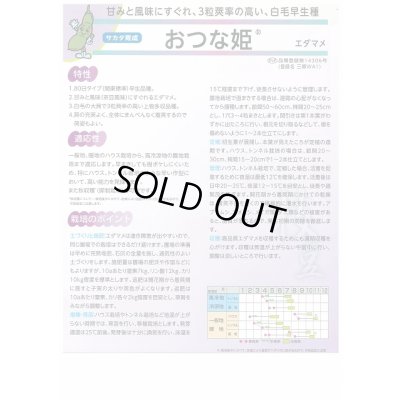 画像3: 送料無料　[枝豆]　おつな姫　1dl　(株)サカタのタネ