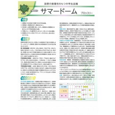 画像3: 送料無料 [ブロッコリー] サマードーム コート5000粒 (株)サカタのタネ