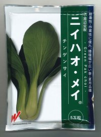 送料無料　チンゲンサイ　ニイハオ・メイ　5万粒　渡辺農事（株）