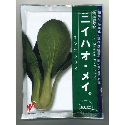 画像1: 送料無料　チンゲンサイ　ニイハオ・メイ　5万粒　渡辺農事（株）