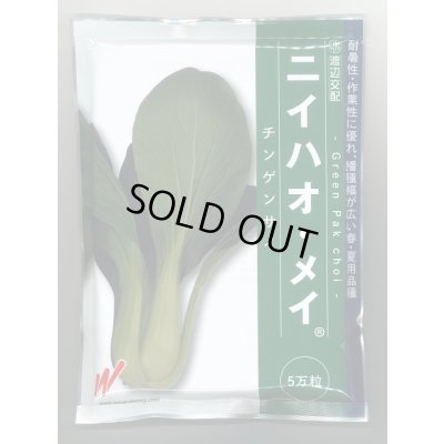 画像1: 送料無料　[中国野菜]　チンゲンサイ　ニイハオ・メイ　5万粒　渡辺農事