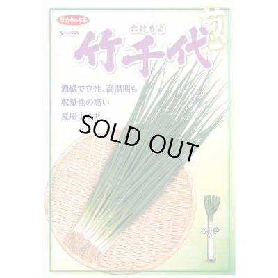 画像2: 送料無料　[ねぎ]　竹千代　20ml　（株）サカタのタネ