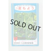 送料無料　[キュウリ]　夏もよう　350粒　(株)ときわ研究場