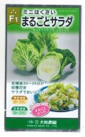 送料無料　[白菜]　ミニはくさい　まるごとサラダ　1ml　（株）大和農園