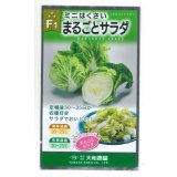 送料無料　[白菜]　ミニはくさい　まるごとサラダ　1ml　（株）大和農園