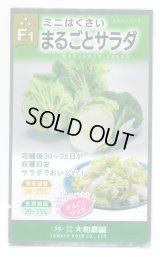 送料無料　[白菜]　ミニはくさい　まるごとサラダ　1ml　(株)大和農園