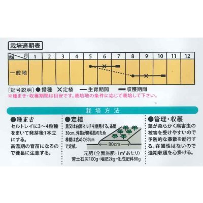 画像4: 送料無料　[白菜]　ミニはくさい　まるごとサラダ　1ml　（株）大和農園