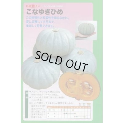 画像2: 送料無料　[かぼちゃ]　こなゆきひめ　100粒　ナント種苗(株)