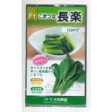送料無料　[小松菜]　長楽type2　10ml　（株）大和農園