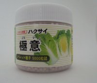 [白菜] 極意 ペレット種子5千粒 カネコ種苗（株）