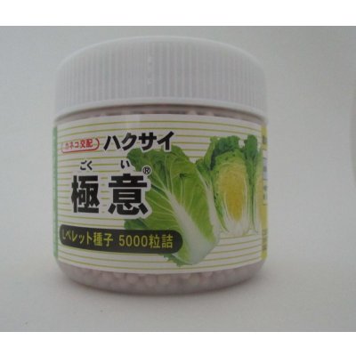 画像1: [白菜] 極意 ペレット種子5千粒 カネコ種苗（株）