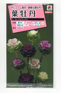 送料無料　花の種　葉牡丹　F1ラッフル　ミックス　約30粒　タキイ種苗(ＮL300)