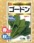 送料無料　[ほうれんそう]　ゴードン　100ml　(およそ5500粒)　(株)サカタのタネ　実咲PRO
