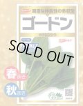送料無料　[ほうれんそう]　ゴードン　100ml　(およそ5500粒)　(株)サカタのタネ　実咲PRO