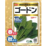 送料無料　[ほうれんそう]　ゴードン　100ml　(およそ5500粒)　(株)サカタのタネ　実咲PRO