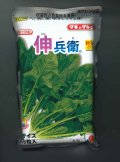 [ほうれんそう]　伸兵衛　3万粒(種子サイズ：L)　タキイ種苗(株)