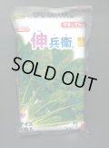 [ほうれんそう]　伸兵衛　3万粒(種子サイズ：L)　タキイ種苗(株)