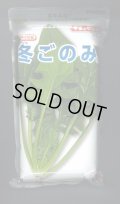 [ほうれんそう]　冬ごのみ　1L　タキイ種苗(株)