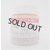 [カリフラワー]　オーナメントパープル　ペレット1000粒　(株)サカタのタネ