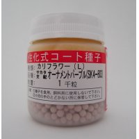 [カリフラワー]　オーナメントパープル　ペレット1000粒　サカタのタネ（株）