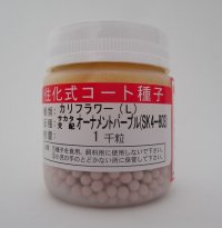 [カリフラワー]　オーナメントパープル　ペレット1000粒　サカタのタネ（株）