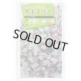 送料無料　花の種　サポナリア　バッカリア混合　約200粒　タキイ種苗(ＮL200)