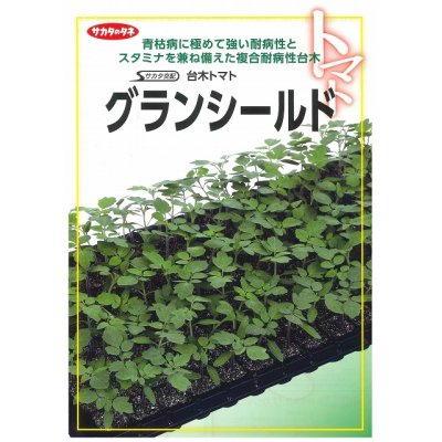 画像2: [台木/トマト用]　送料無料！グランシールド　1000粒　サカタのタネ（株）