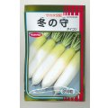 送料無料　大根　冬の守　800粒　(株)サカタのタネ