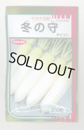 送料無料　大根　冬の守　800粒　(株)サカタのタネ