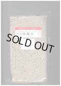 送料無料　大根　冬馬力　5000粒　ペレット種子　(株)サカタのタネ