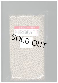 大根　冬馬力　5000粒　ペレット種子　サカタのタネ（株）