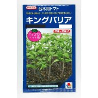 [台木/トマト用]　　キングバリア　50粒　タキイ種苗（株）