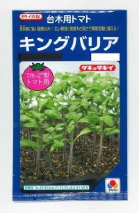 [台木/トマト用]　　キングバリア　50粒　タキイ種苗（株）