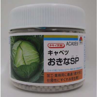 画像1: 送料無料　[キャベツ]　おきなSP　ペレット種子5000粒　タキイ種苗(株)