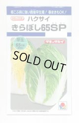 送料無料　[白菜]　きらぼし65ＳＰ　0.8ml　タキイ種苗(株)　DF