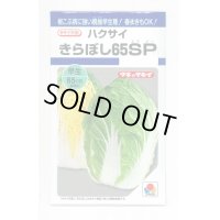 [白菜]　きらぼし65ＳＰ　0.8ｍｌ　タキイ種苗（株）　DF　