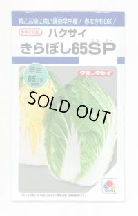 [白菜]　きらぼし65ＳＰ　0.8ｍｌ　タキイ種苗（株）　DF　