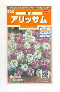 花の種　アリッサム 混合　約334粒　サカタのタネ（株）実咲200