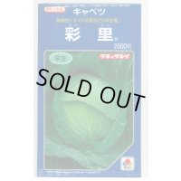 [キャベツ] 彩里 2000粒 タキイ種苗(株)