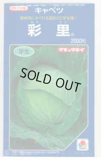 [キャベツ] 彩里 2000粒 タキイ種苗(株)