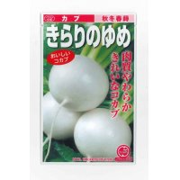 [かぶ]　きらりのゆめ　20ml  ノウリン交配