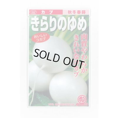 画像1: [かぶ] きらりのゆめ 20ml ノウリン交配