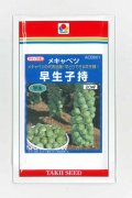 送料無料　[キャベツ]　芽キャベツ　早生子持　20ml　タキイ種苗(株)