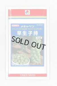 送料無料　[キャベツ]　芽キャベツ　早生子持　20ml　タキイ種苗(株)