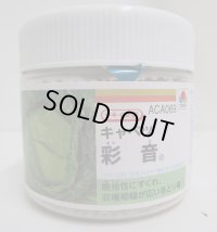 送料無料　[キャベツ]　彩音　5000粒　ペレット種子　タキイ種苗(株)