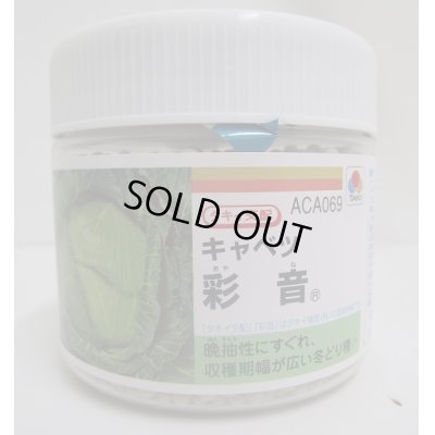 画像1: [キャベツ]　　送料無料！　彩音 　5000粒 ペレット種子　タキイ種苗（株）