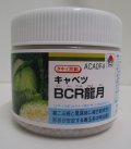 送料無料　[キャベツ]　ＢＣＲ龍月　ペレット5000粒　タキイ種苗(株)