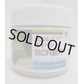 送料無料　[キャベツ]　ＢＣＲ龍月　ペレット5000粒　タキイ種苗(株)