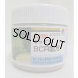 送料無料　[キャベツ]　ＢＣＲ龍月　ペレット5000粒　タキイ種苗(株)